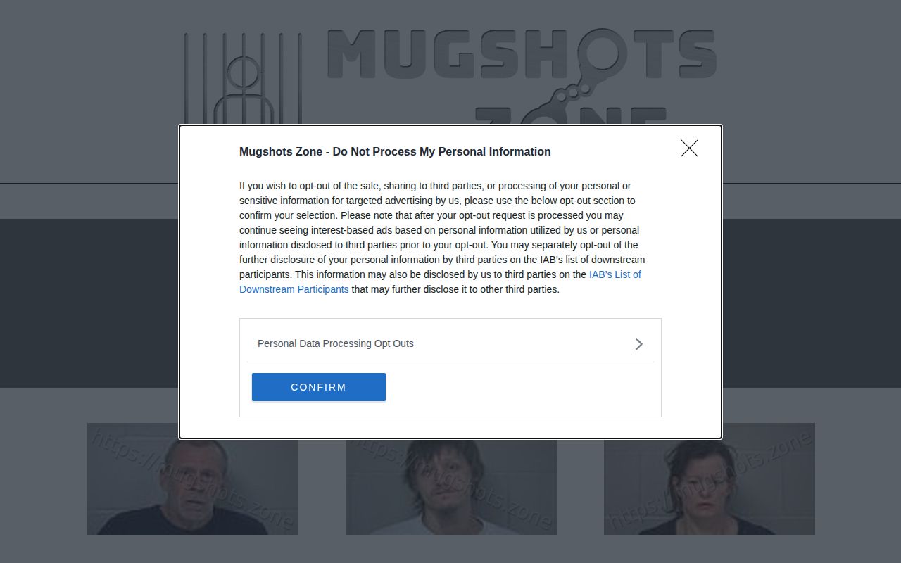 Knox County recent arrest record index screenshot from Mugshots Zone